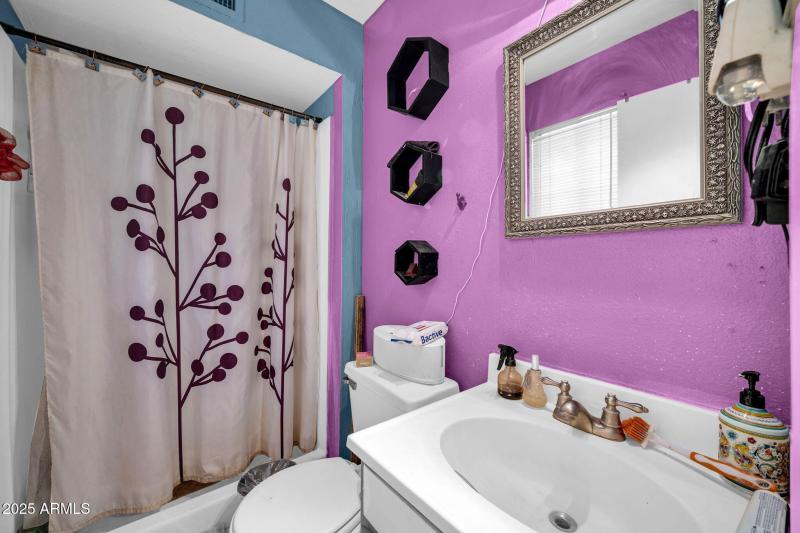 Hall bathroom