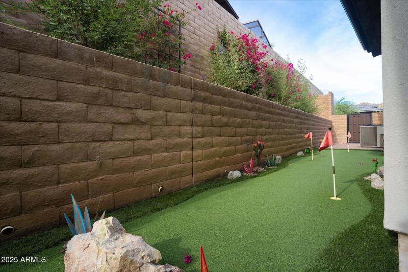 Backyard 4