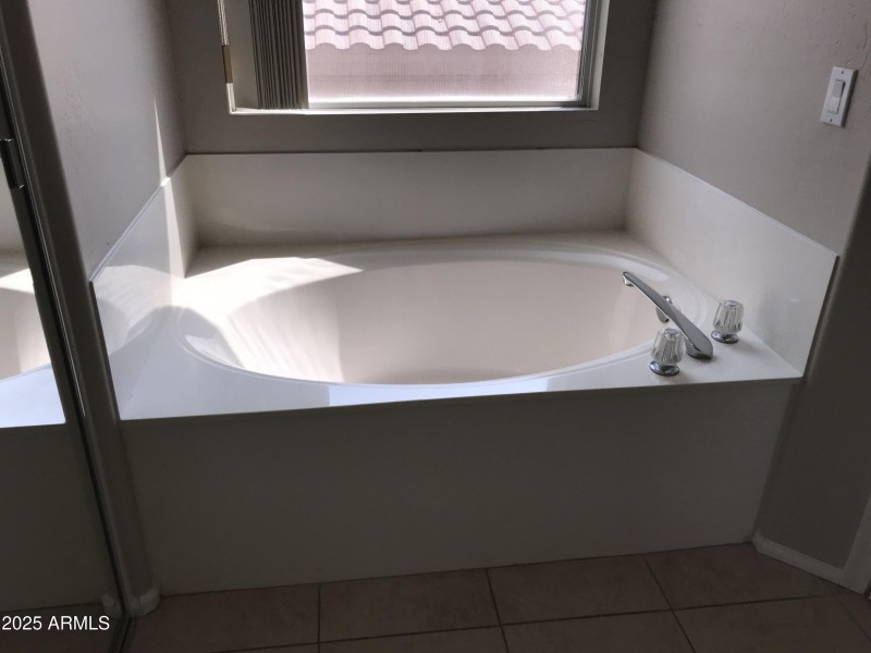 Primary Tub