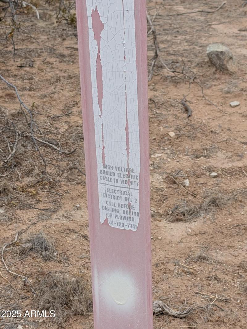 PXL_20250214_002710935