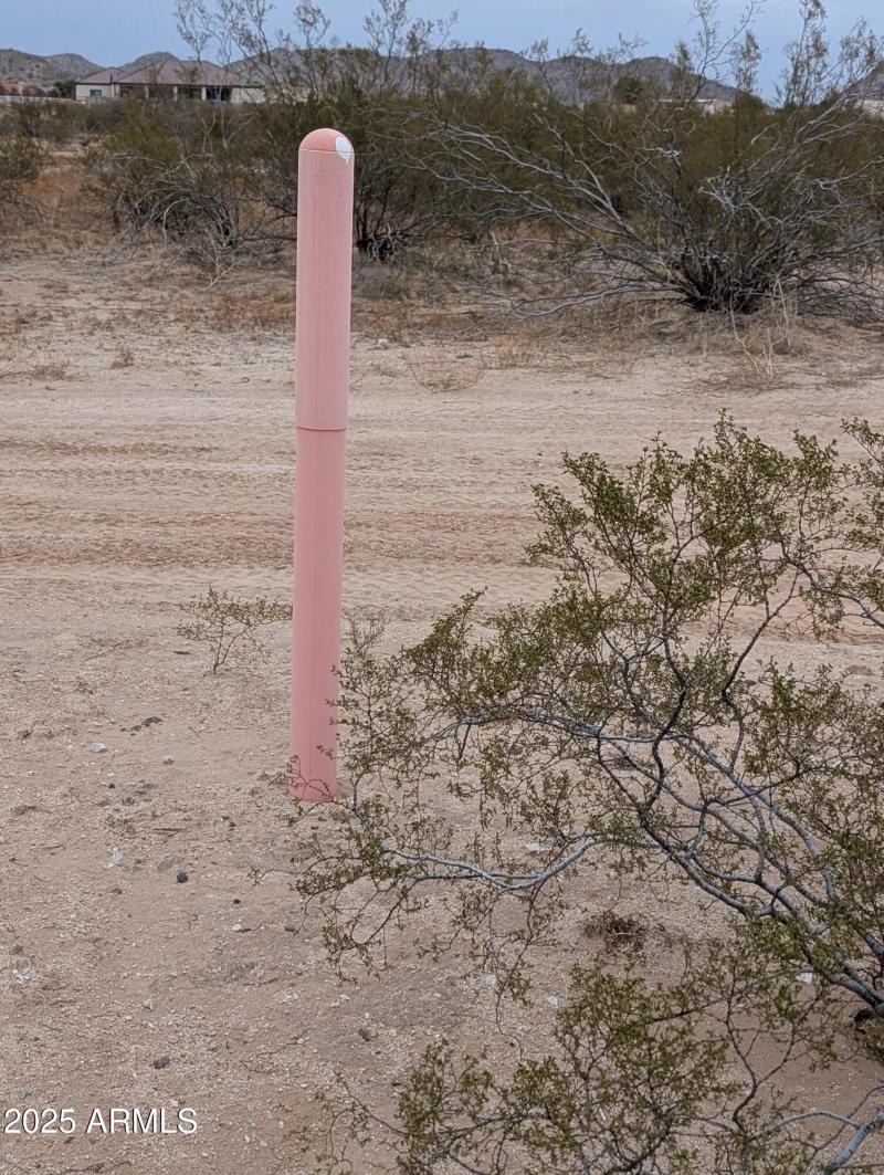 PXL_20250214_003436038