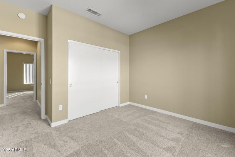 New Carpet