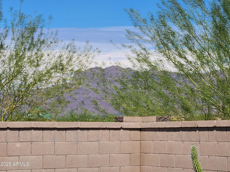 Superstition Mountain Views