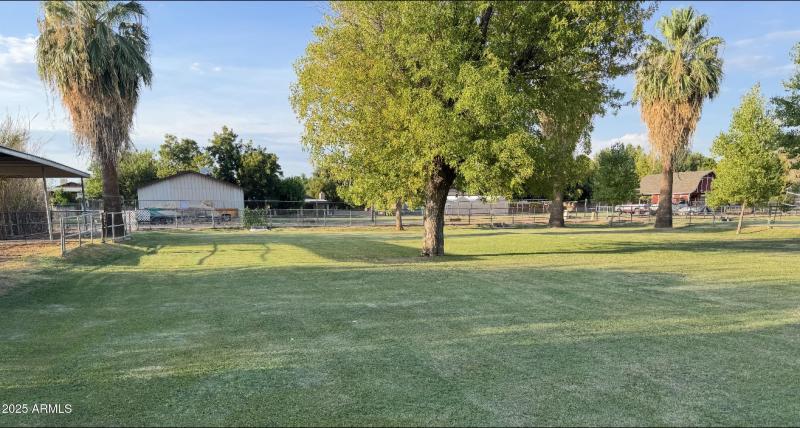 Backyard