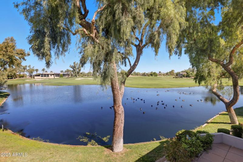 86-web-or-mls-8989 N Gainey Center Dr 11