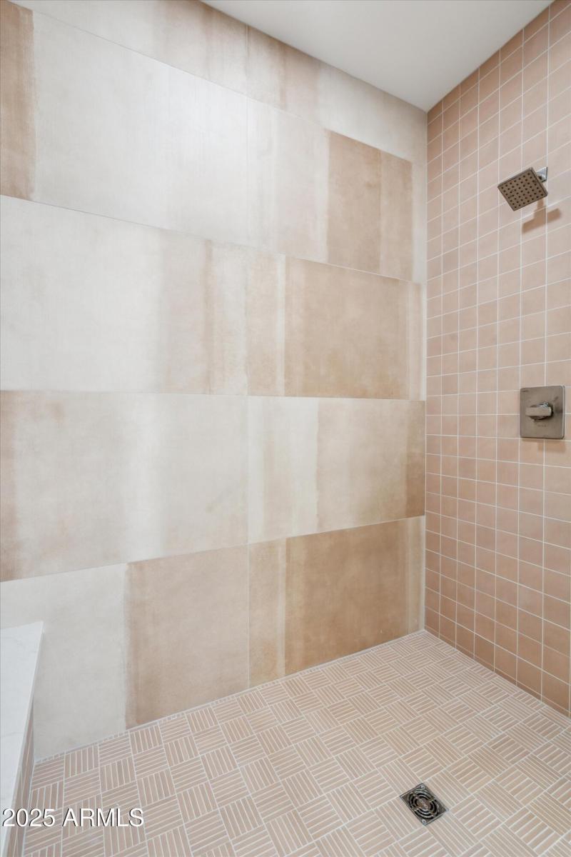 Primary Shower