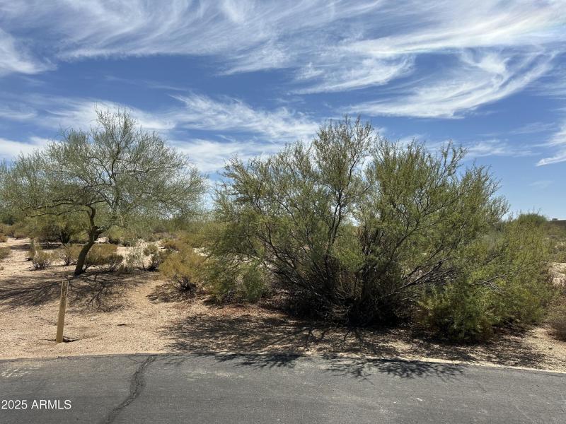 387 EF Cul De Sac Site