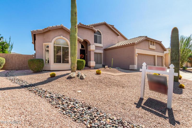 Low Maintenance Yard with Saguaros