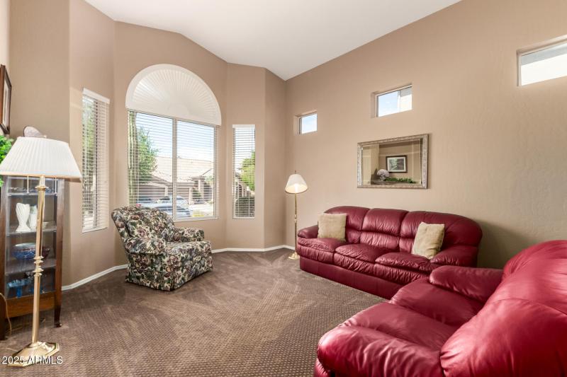 Living room full of natural light