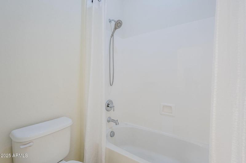 38-web-or-mls-Jojoba-38