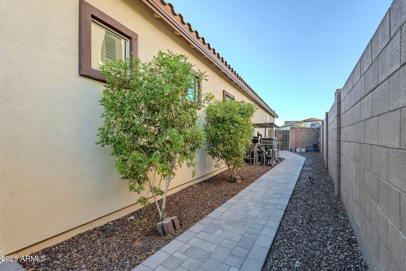62-web-or-mls-Jojoba-62