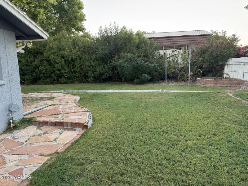 Backyard