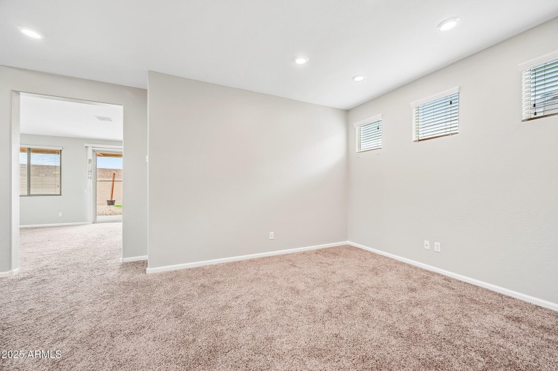 DOWNSTAIRS FLEX SPACE