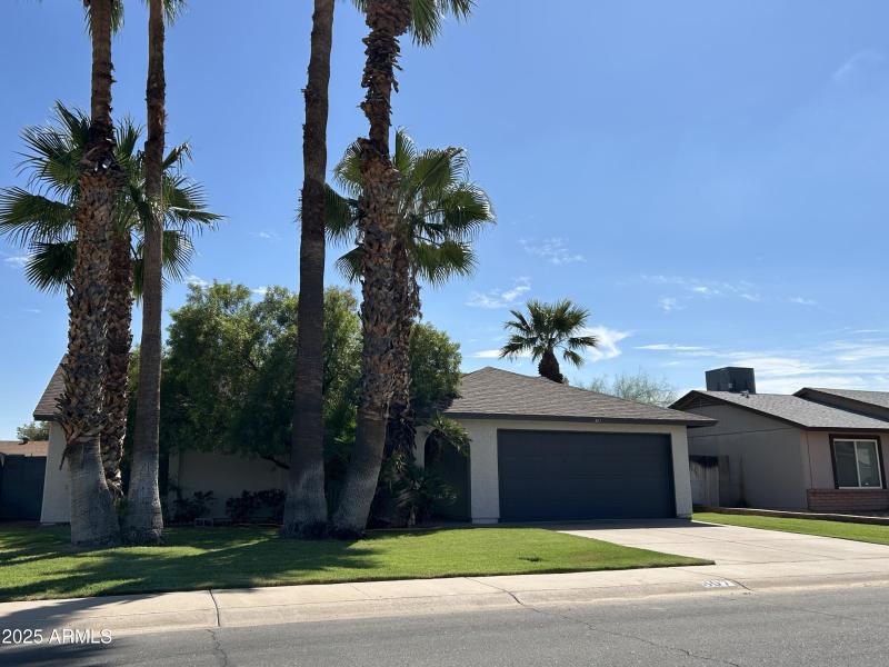 Front 2 807 Nopal 2025