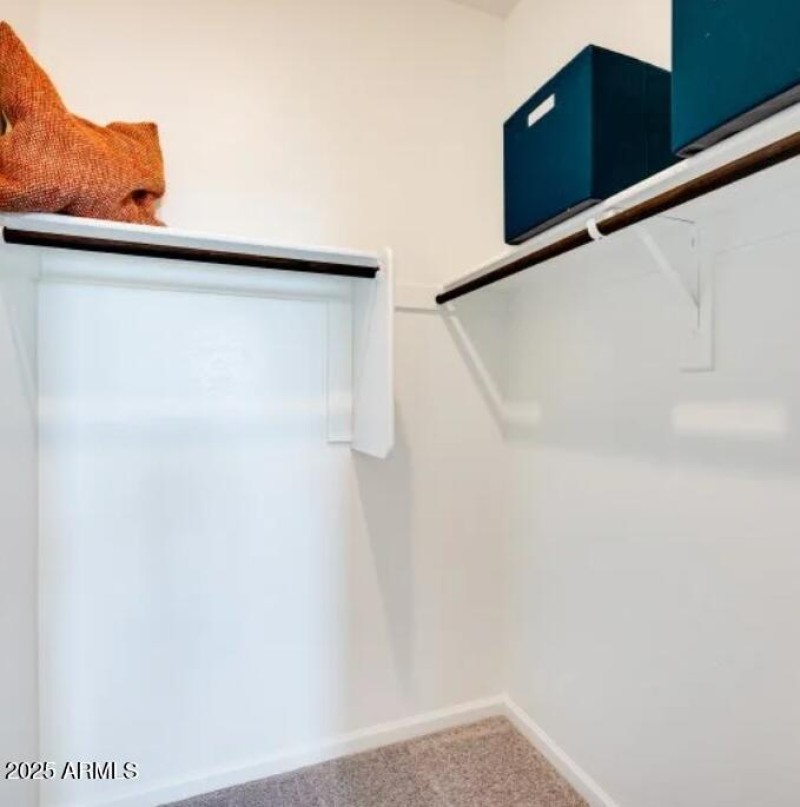 Owners Walk in Closet