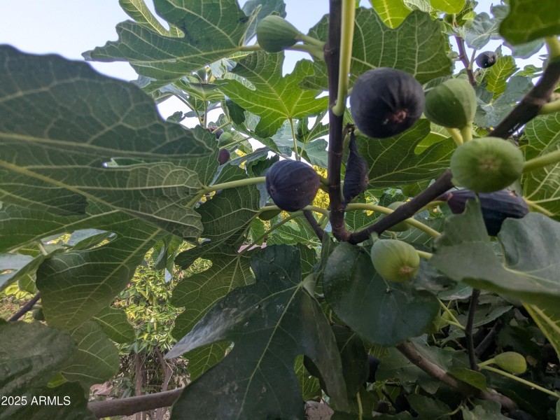 PXL_20250707_015322296
