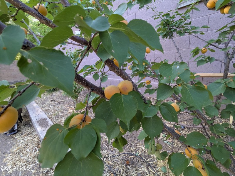 PXL_20250515_144111146
