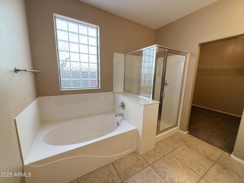 Separate Shower & Tub In Primary