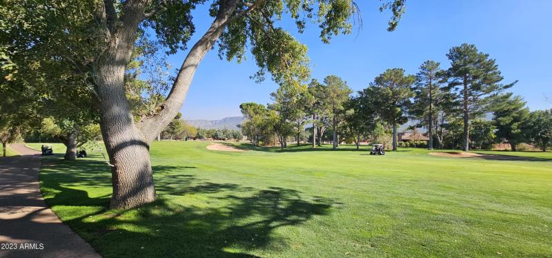 Views of the Glof Course (8)