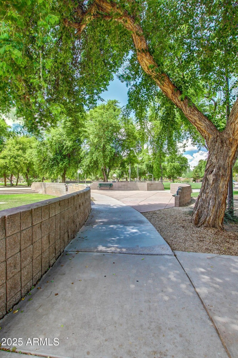 Hiking _ walking path