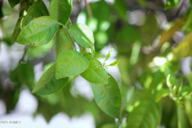 thumbnail_Marconi Ave (6)