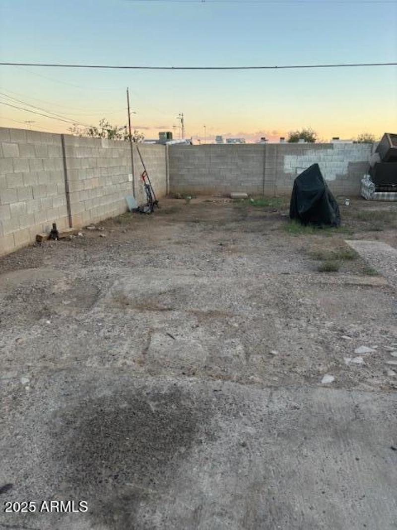 Back Yard