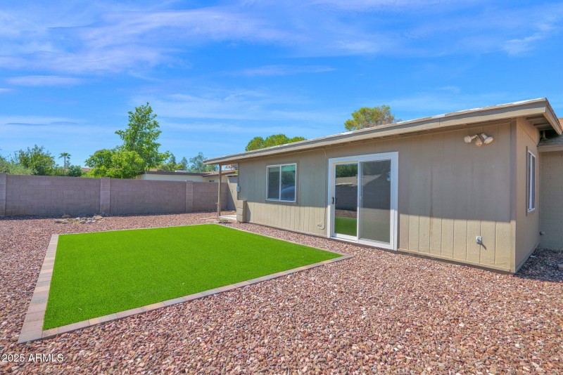 Backyard
