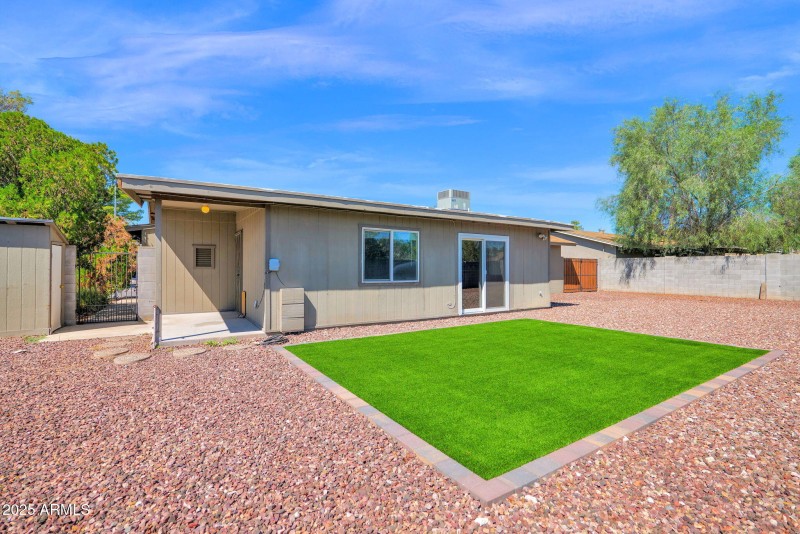 Backyard