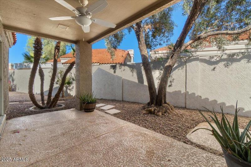 Back patio