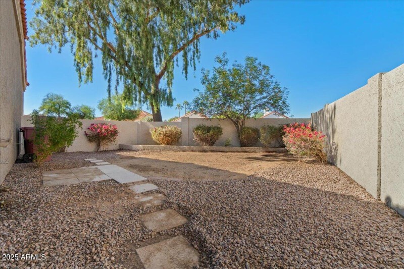 Back yard
