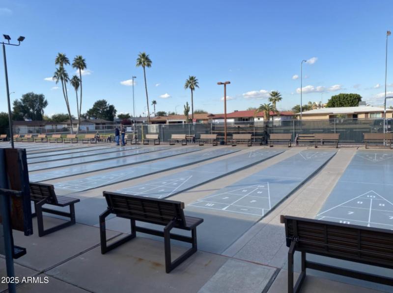 Shuffleboard