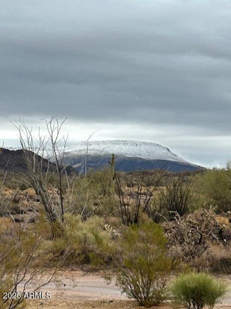 image3
