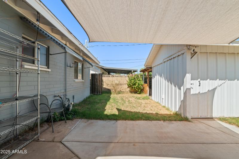 Backyard