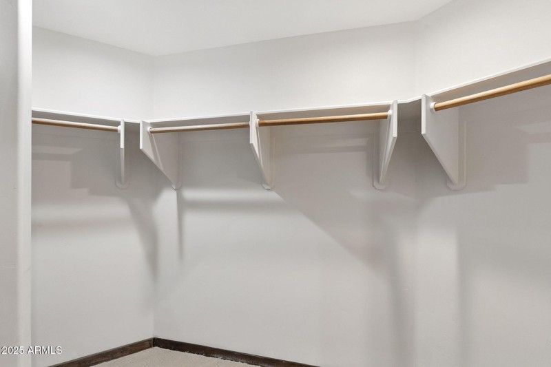 46-web-or-mls-Mule-46