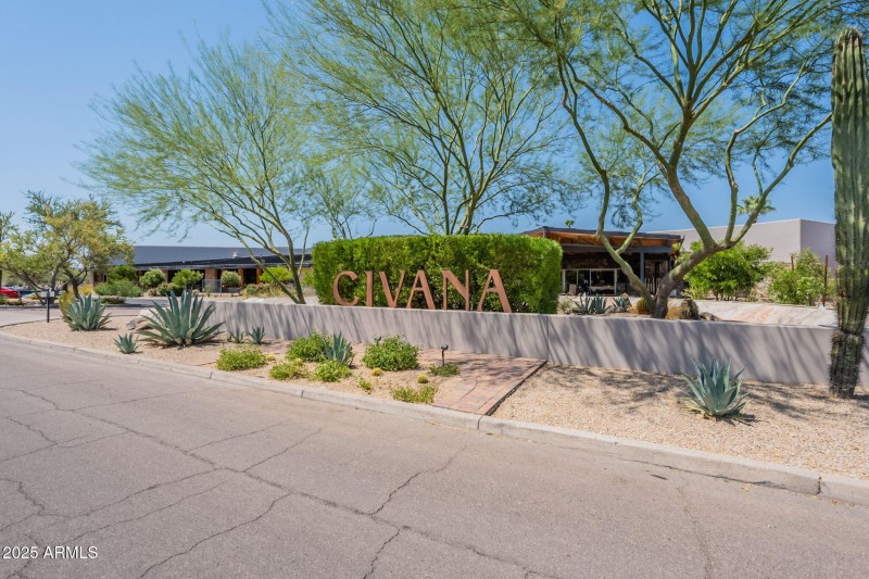 52-web-or-mls-Mule-52