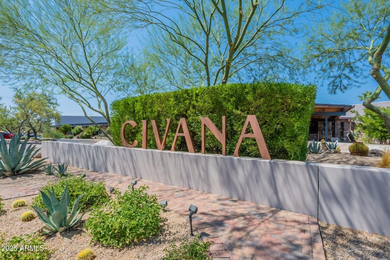 53-web-or-mls-Mule-53