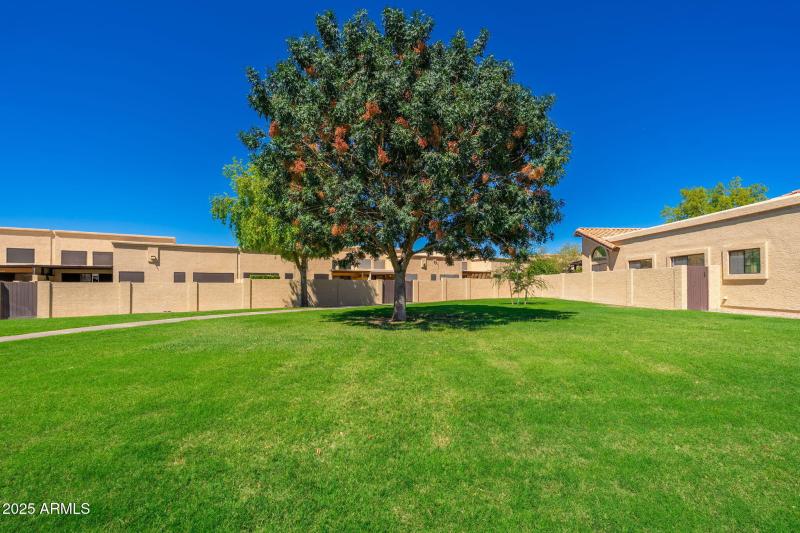 Alta Mesa Townhomes - 06