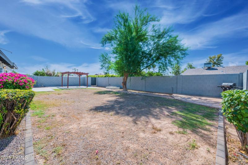 backyard_1