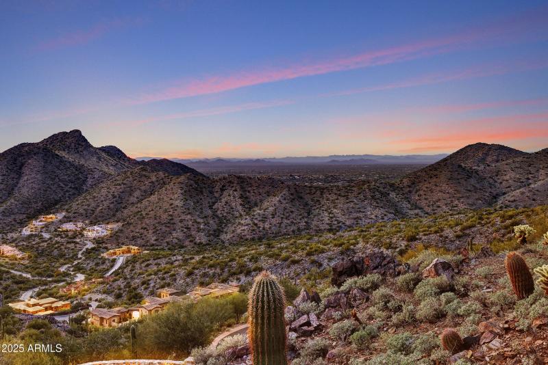 Sonoran Sunsets