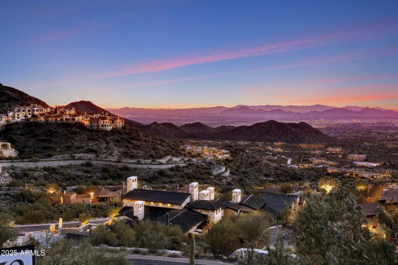 Silverleaf