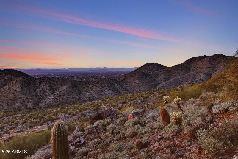 Sonoran Desert