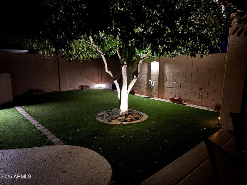 Fruit Trees