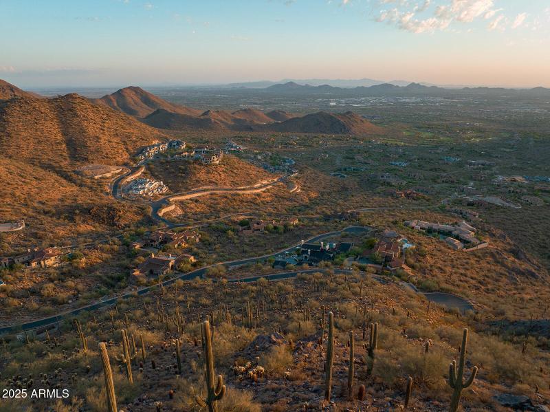 Silverleaf