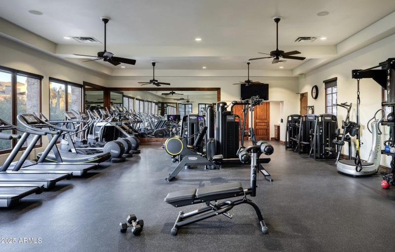 The Gym