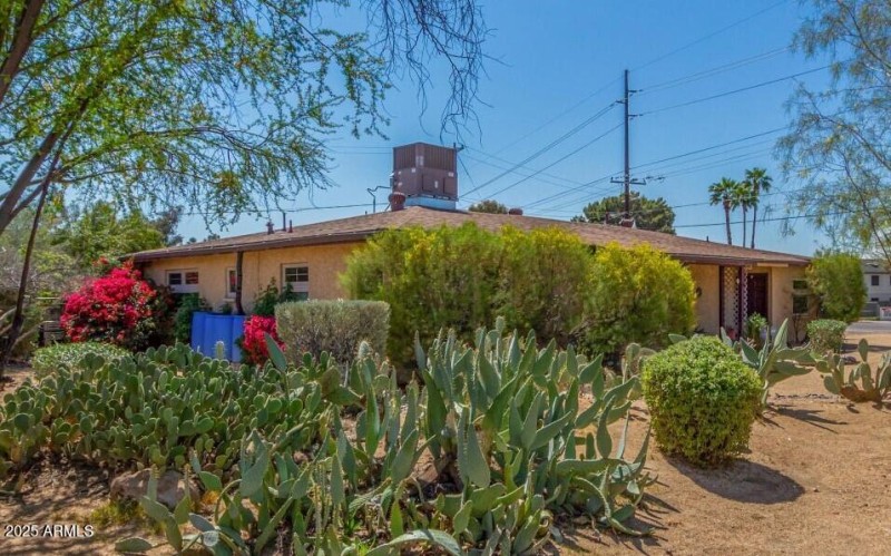 Front Yard