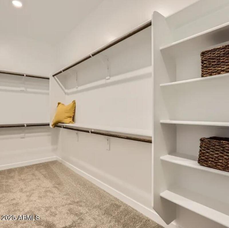 Owners Walk in Closet