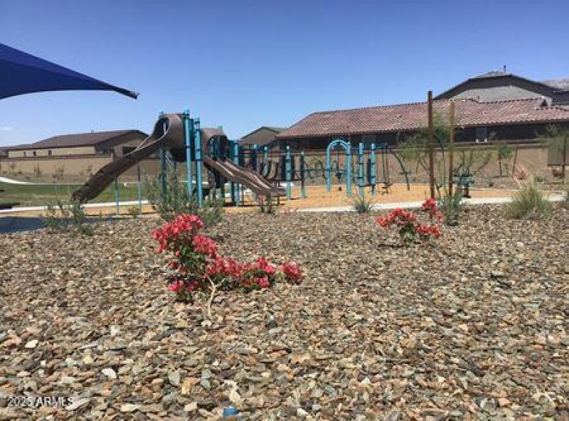 Play Ground