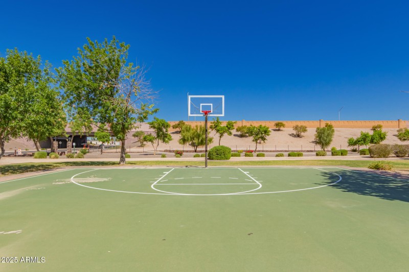 Basketball Court