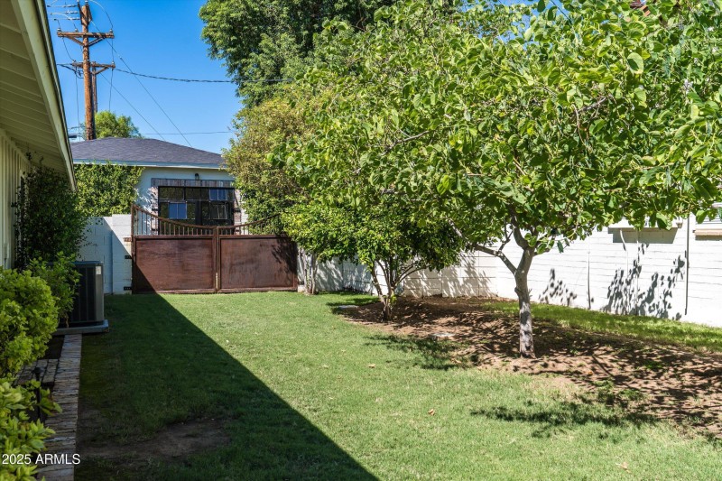 Side Yard