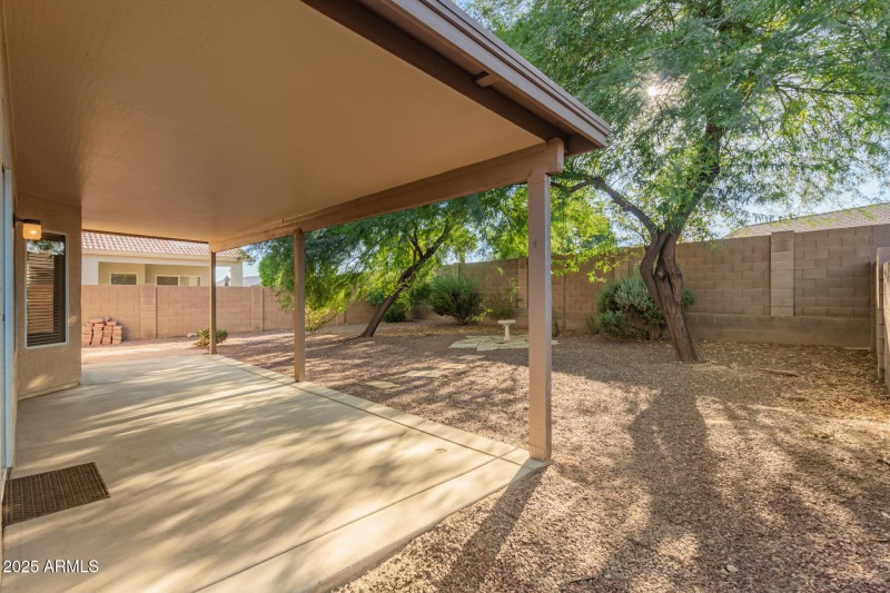 Backyard